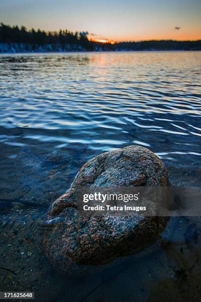 usa, massachusetts, concord, walden pond, boulder in water - walden pond stock pictures, royalty-free photos & images