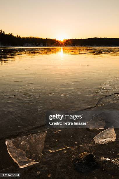 usa, massachusetts, concord, walden pond, icy water surface - walden pond stock pictures, royalty-free photos & images