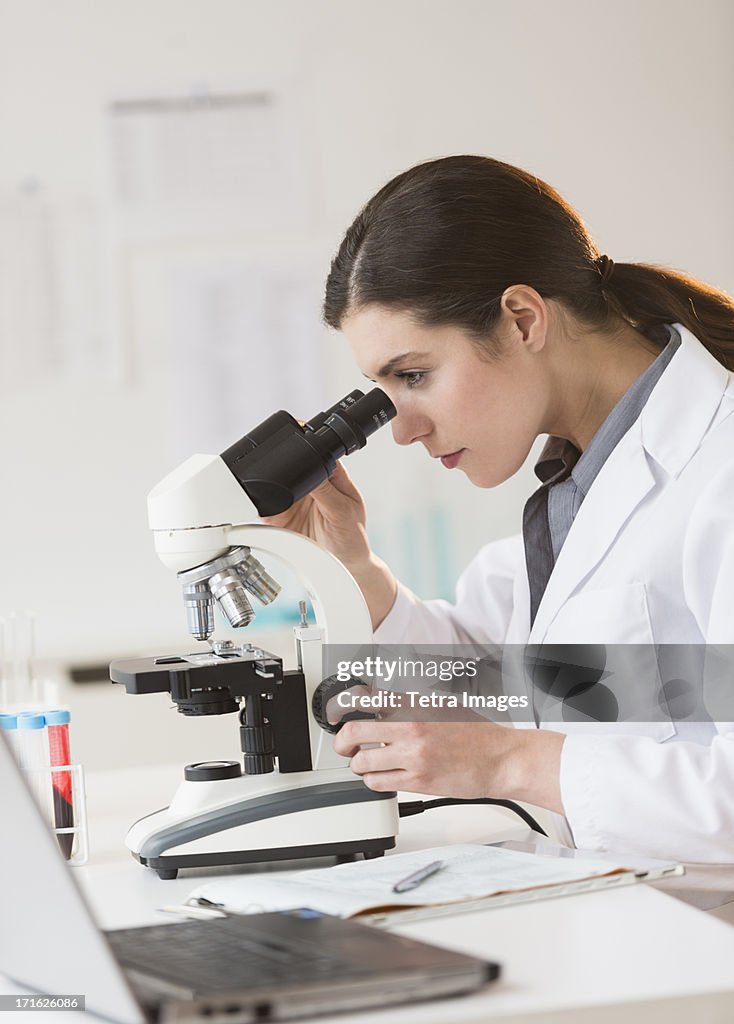 USA, New Jersey, Jersey City, Scientist looking through microscope