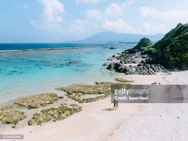 aerial view of mother and child walking on tropical beach, tokunoshima of amami islands - prefectura de kagoshima fotografías e imágenes de stock