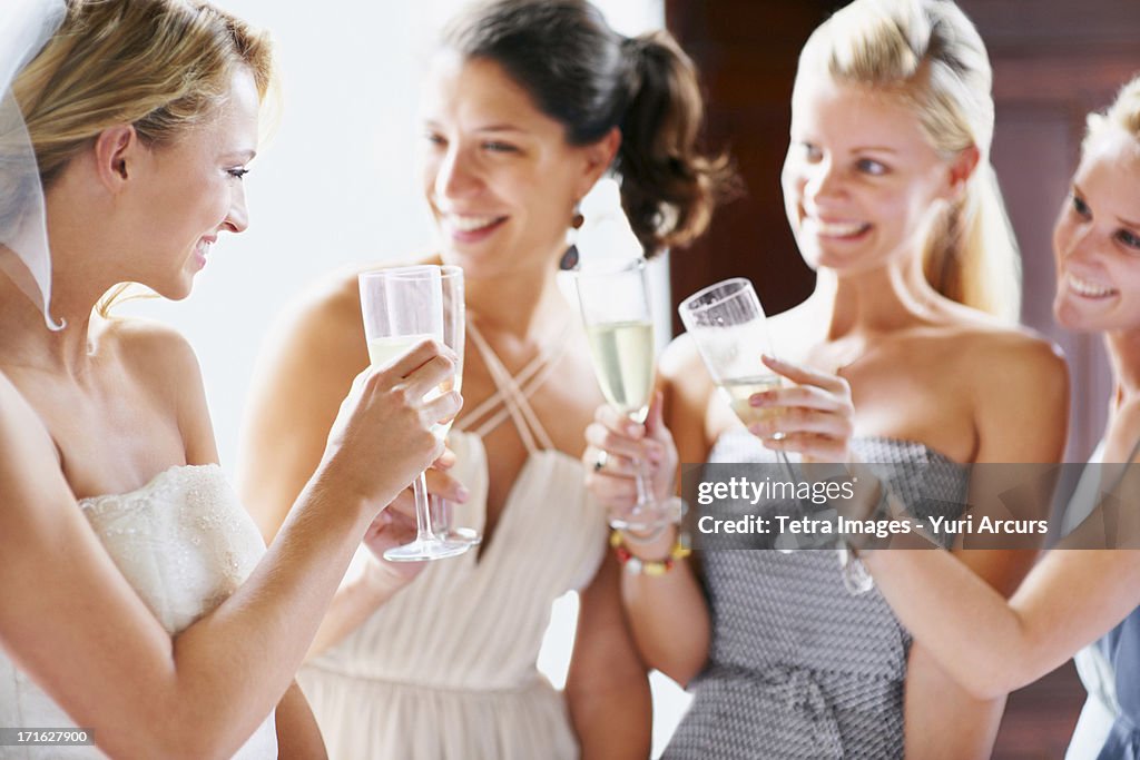 South Africa,Cape Town, Bride and bridesmaids toasting