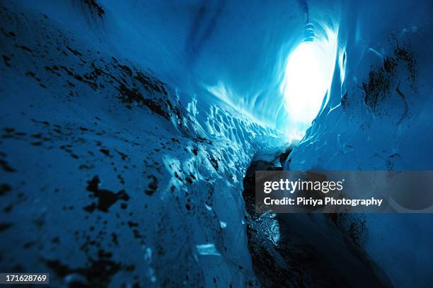 ice cave wall - root glacier stockfoto's en -beelden