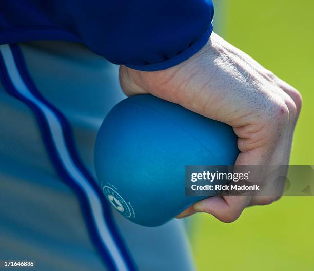 Pitcher Steve Delabar uses one of his balls he credits with improving his pitching, as he waits on a drill. Toronto Blue Jays continue with spring...