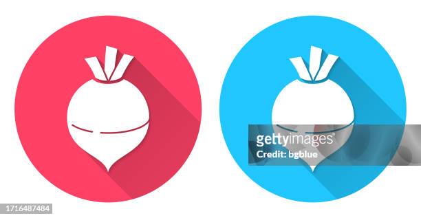 rutabaga. round icon with long shadow on red or blue background - rutabaga stock illustrations