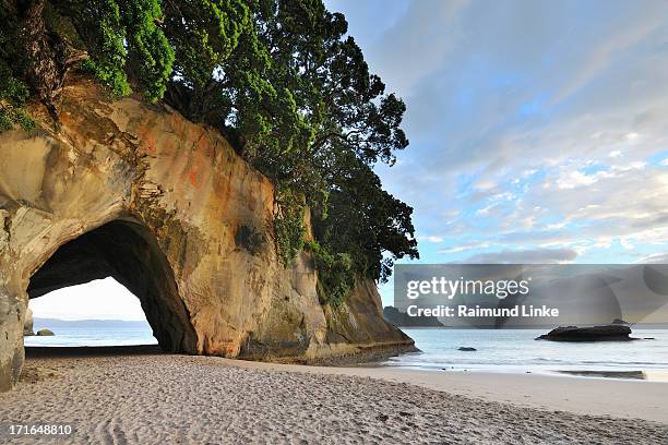 rock cave on the beach - cathedral cove stock pictures, royalty-free photos & images