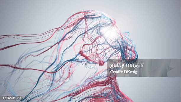 abstract human face - artificial intelligence, psychology, technology, blood flow - red and blue - vascular system stock pictures, royalty-free photos & images