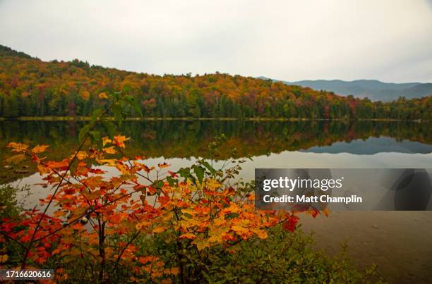 colorful autumn trees in the adirondacks - lake placid stock pictures, royalty-free photos & images