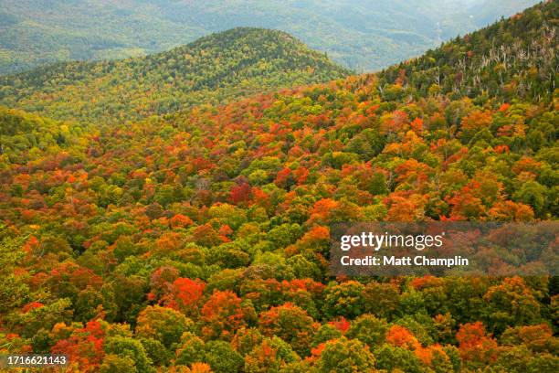 colorful autumn trees in the adirondacks - lake placid stock pictures, royalty-free photos & images