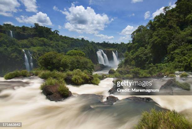 iguazu waterfall - foz do iguacu photos et images de collection