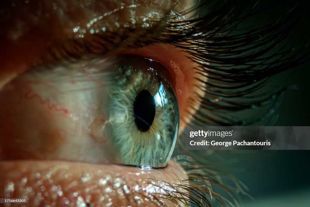Human eye looking away