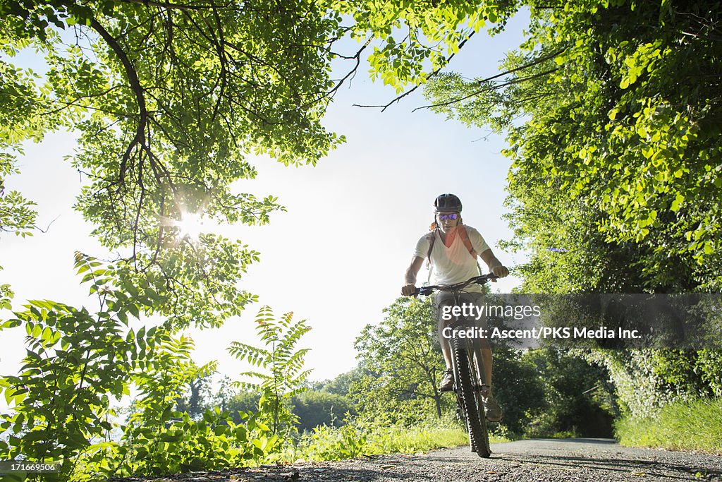 Bicyclist ascends forest road in spring, sunrise