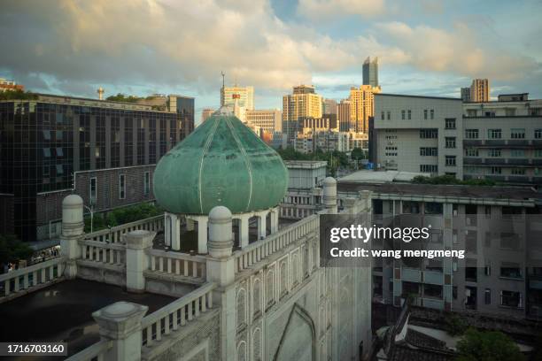 the city under the evening sunset - viral shedding stock-fotos und bilder