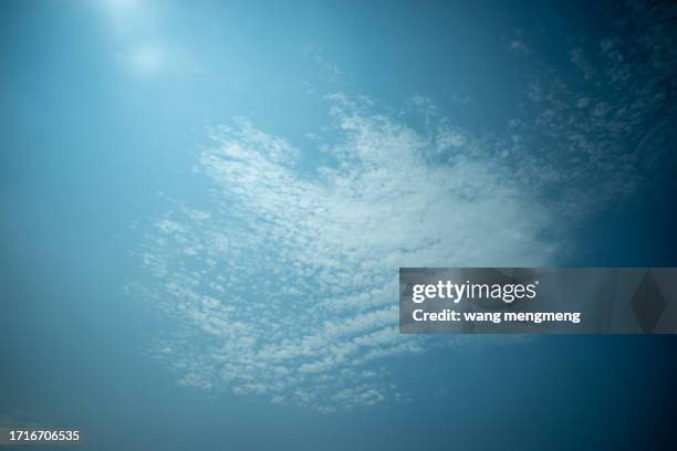 clear sky in the city - viral shedding stockfoto's en -beelden