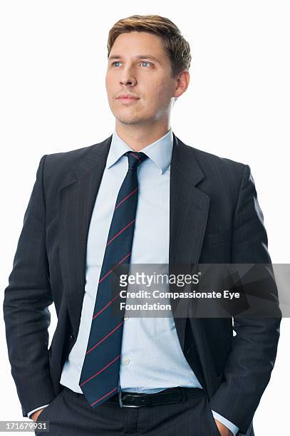 portrait of businessman - suit and tie stock pictures, royalty-free photos & images