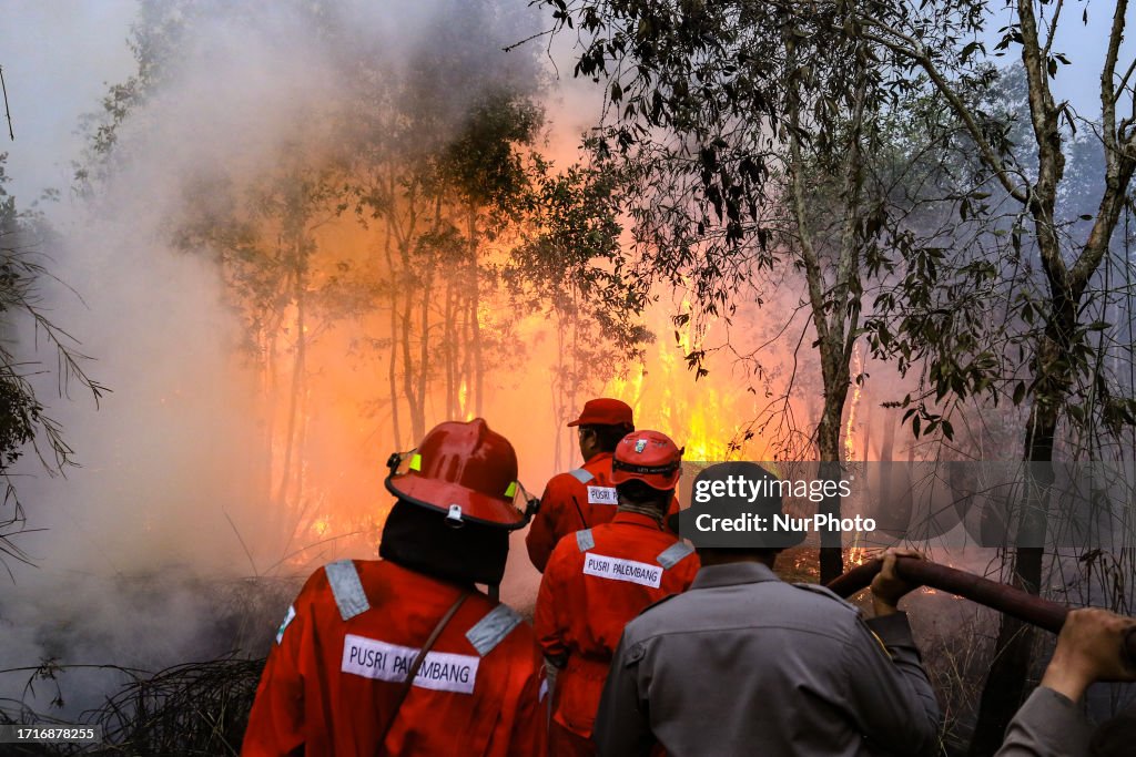 Forest Fire In South Sumatra