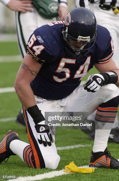 Linebacker Brian Urlacher of the Chicago Bears looks down at a penalty flag on the field during their game against the New York Jets on December 15,...