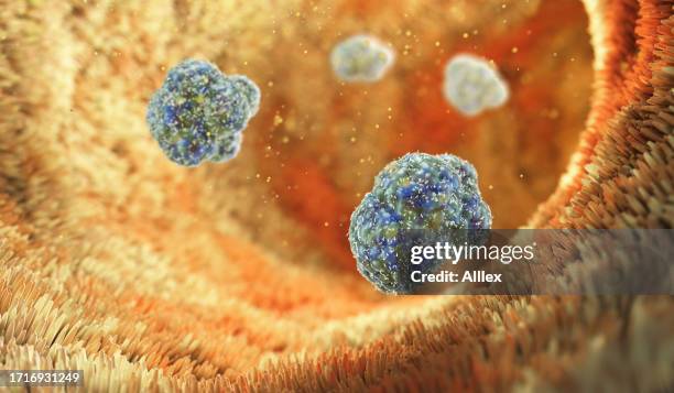 intestinal villi. hepatitis viruses. - slijmvlies colon stockfoto's en -beelden