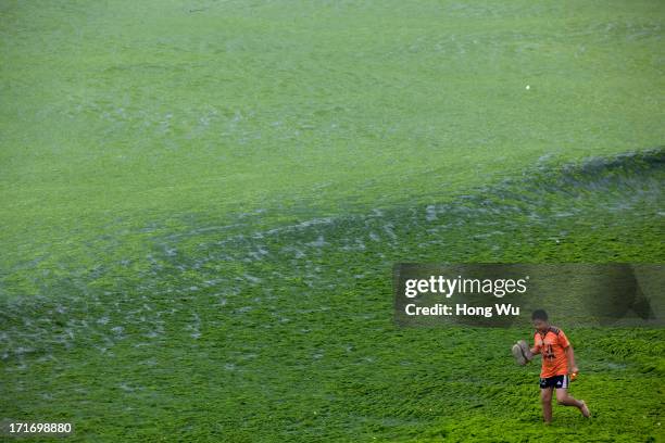 Child walks at a beach covered by a thick layer of green algae on June 28, 2013 in Qingdao, China. A large quantity of non-poisonous green seaweed,...