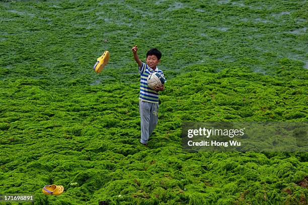 Child holds a volleyball at a beach covered by a thick layer of green algae on June 28, 2013 in Qingdao, China. A large quantity of non-poisonous...