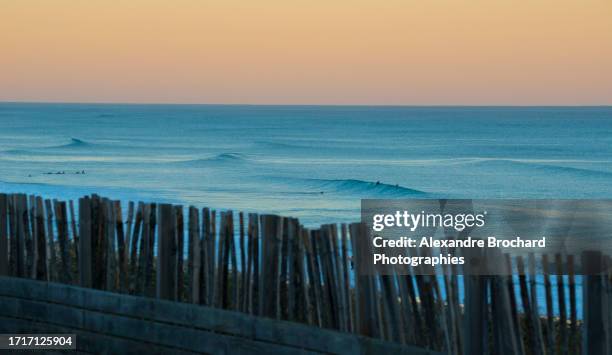 ocean view from biscarrosse - biscarrosse stockfoto's en -beelden