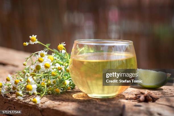 cup of tea with chamomile flower - chamomile tea stock pictures, royalty-free photos & images