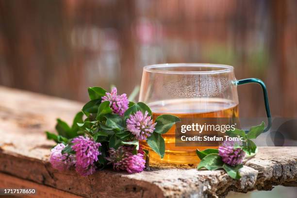 cup of tea with red clover flower - warme dranken stockfoto's en -beelden