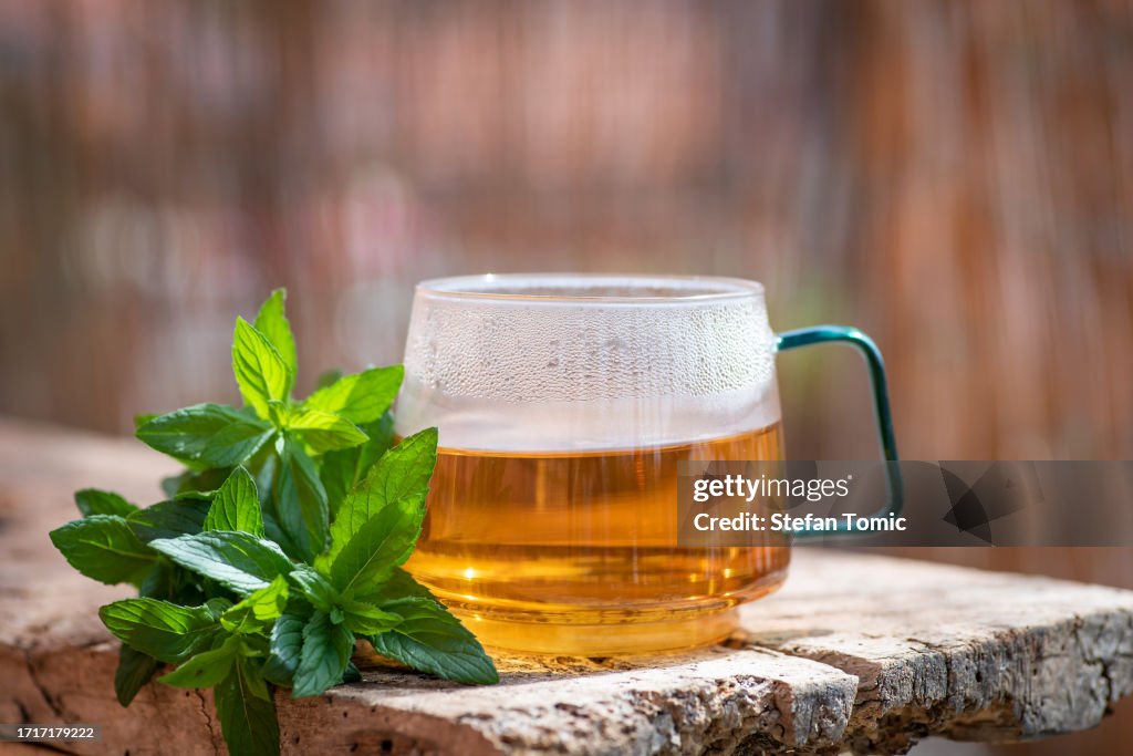 Cup of mint tea