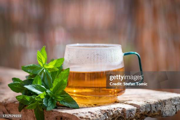 cup of mint tea - mint tea stock pictures, royalty-free photos & images