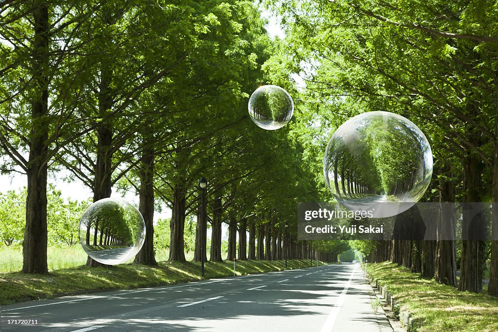 Globe tree on women hand  with fresh green Avenue