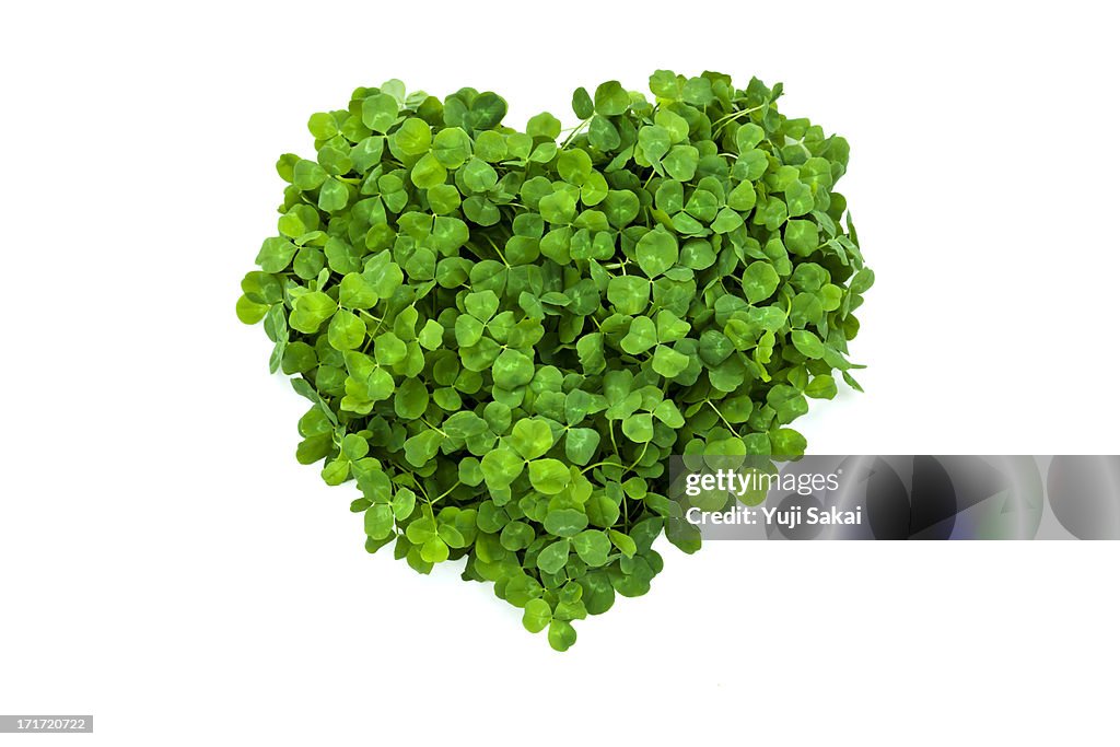 Hart formed by clover