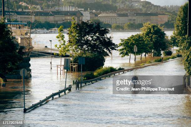 submerged road by the danube - flood in budapest, hungary - flood city stock pictures, royalty-free photos & images