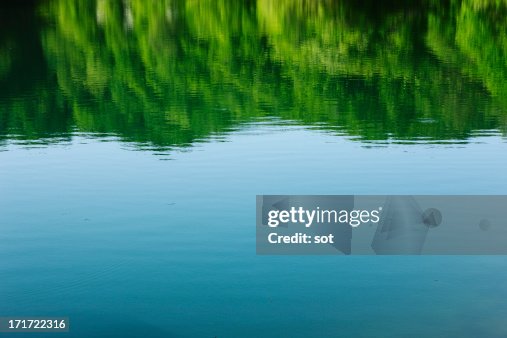 Surface of the lake in forest Surface of the lake in forest