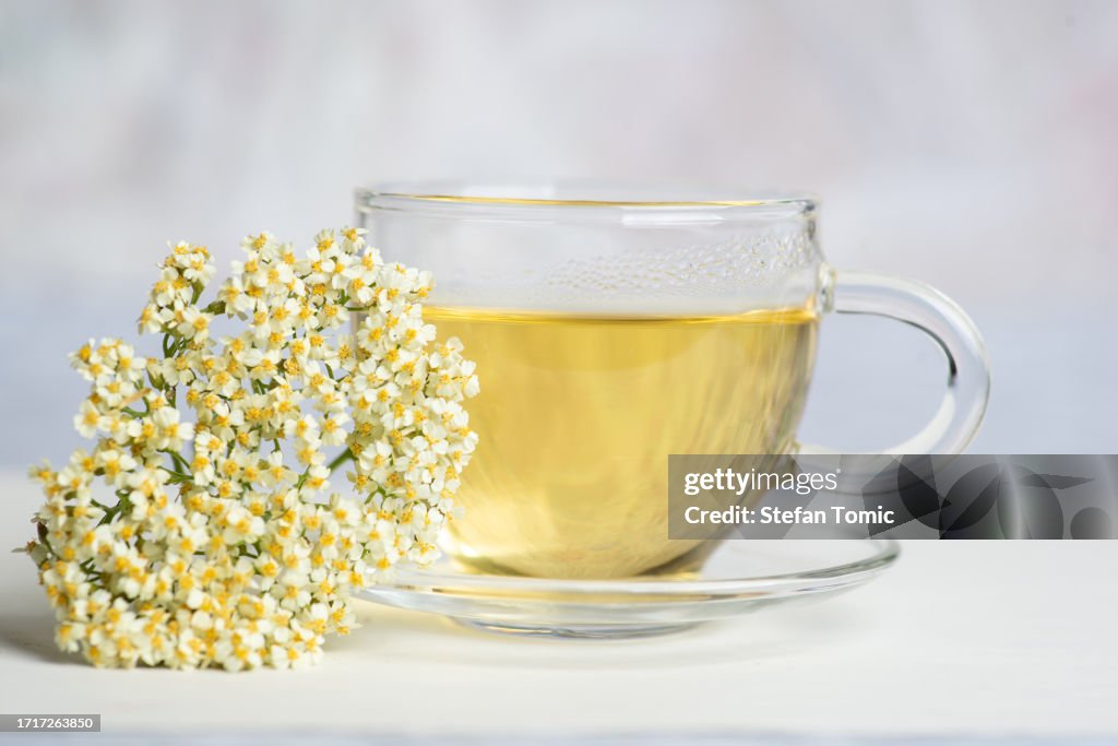 Cup of elderberry tea