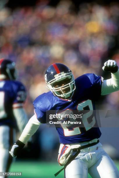 Cornerback Phillippi Sparks of the New York Giants celebrates a stop in the game between the New England Patriots vs the New York Giants on December...