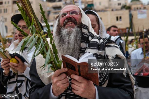 An Ultra-Orthodox Jew holds the lulav and etrog, part of the four important symbols, as he recites morning prayers before the Priestly Blessings, or...