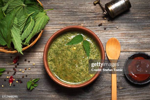 nettle sopa - urticaceae fotografías e imágenes de stock