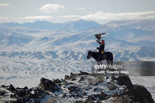 hunting with a golden eagle on horseback - golden eagle stock-fotos und bilder