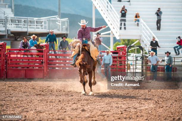 cowboy riding a bucking horse - rodeo stockfoto's en -beelden