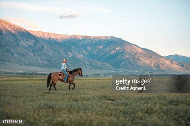 calm scene of male rider on a horse - montana ranch stock pictures, royalty-free photos & images
