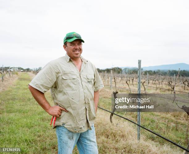 man in vineyard looking at camera - vineyard australia stock-fotos und bilder