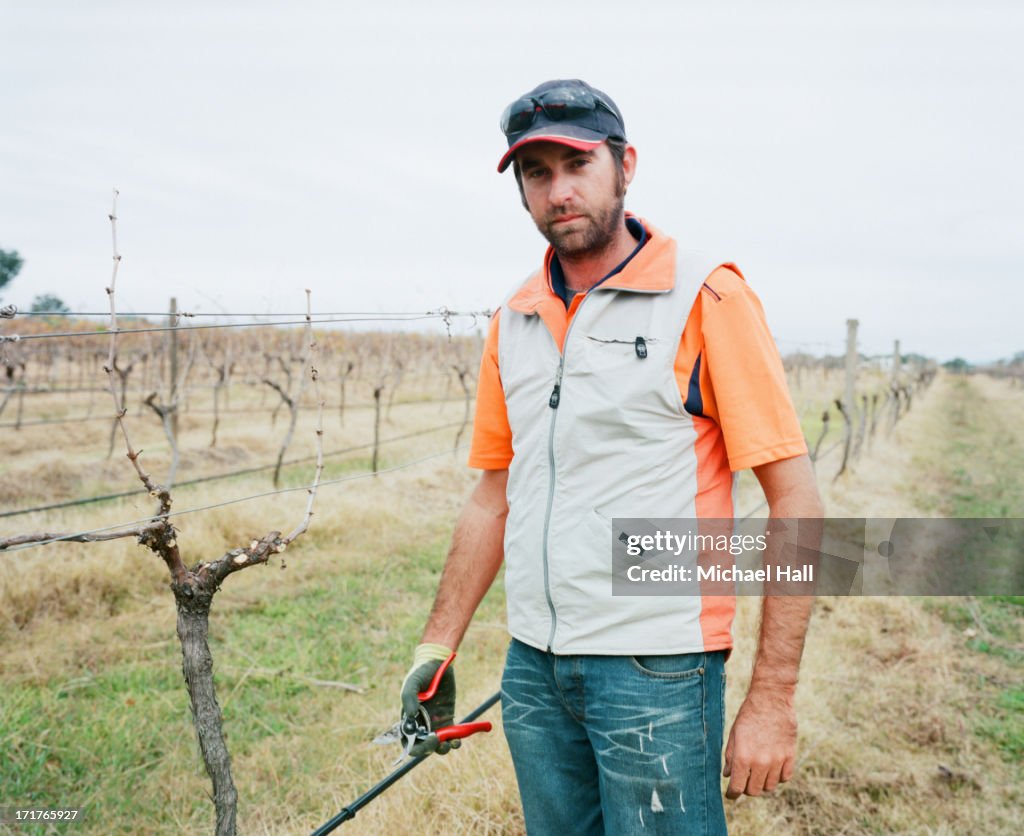 Man in vineyard looking at camera