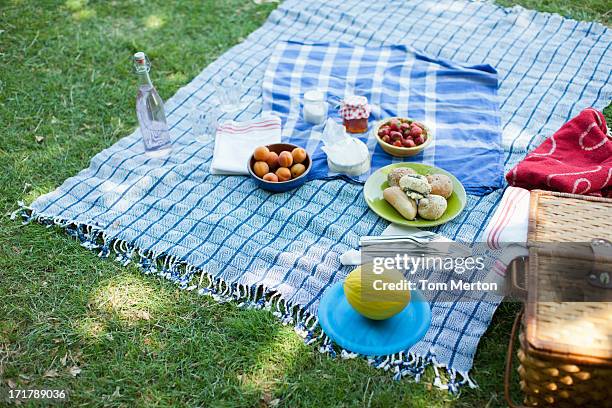 los alimentos en manta en hierba - manta de picnic fotografías e imágenes de stock