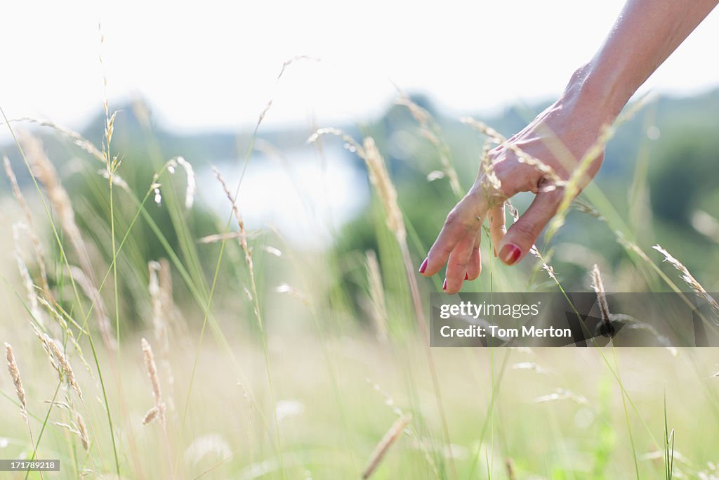 Woman touching tall grass