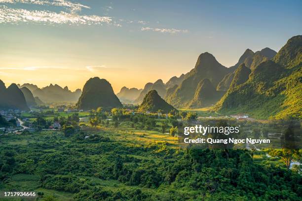 town and rice field - vietnam stock pictures, royalty-free photos & images