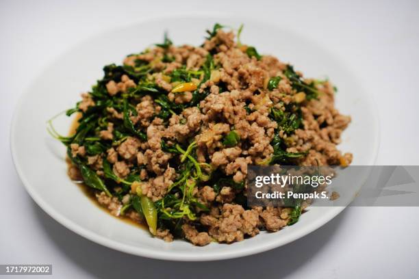 stir-fried minced pork with basil - ground pork stock pictures, royalty-free photos & images