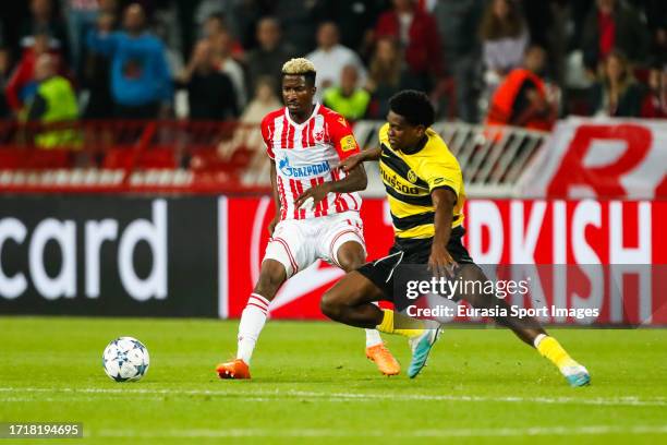 Preview: Red Star Belgrade vs. Young Boys - prediction, team news, lineups  - Sports Mole