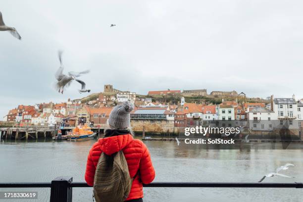 taking in the breathtaking view - north yorkshire stockfoto's en -beelden