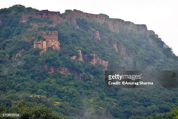magical monsoon - ranthambore fort stock pictures, royalty-free photos & images