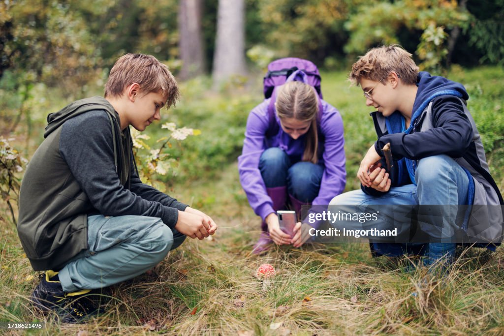 Teenager fotografieren einen Fliegenpilz im Wald
