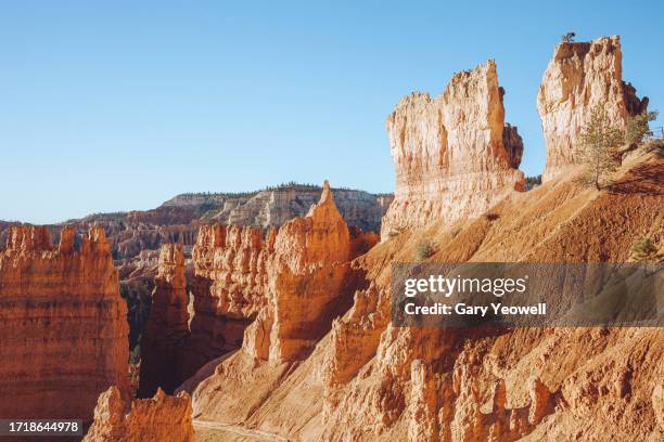 bryce canyon at sunrise - bryce canyon national park stock pictures, royalty-free photos & images